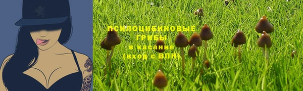марки nbome Алзамай