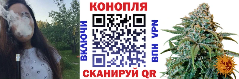Марихуана тримм  mega вход  Пролетарск 
